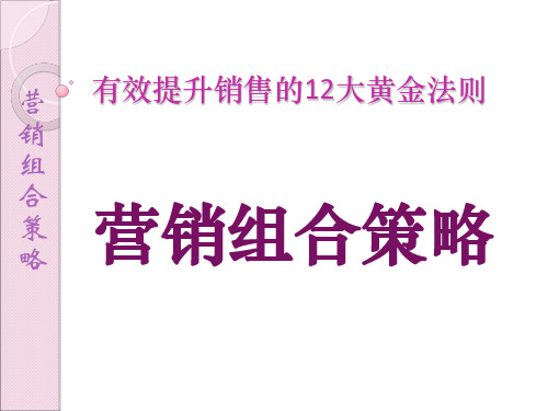 营销组合策略ppt课件
