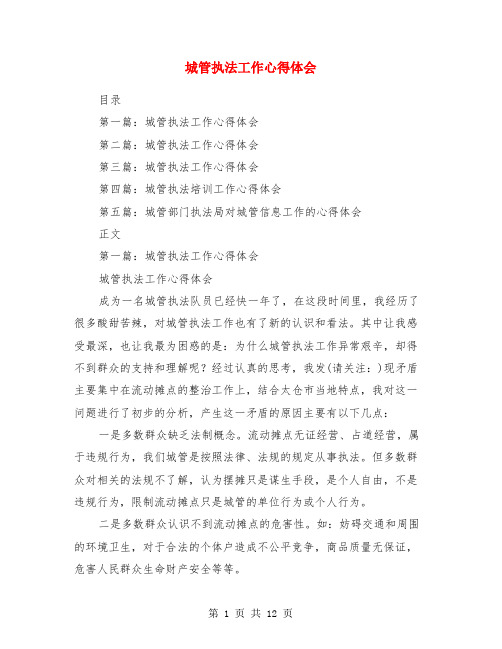 城管执法工作心得体会(精选多篇)