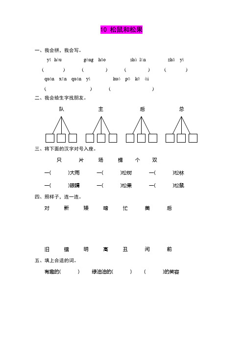 一下语文《松鼠和松果》练习题