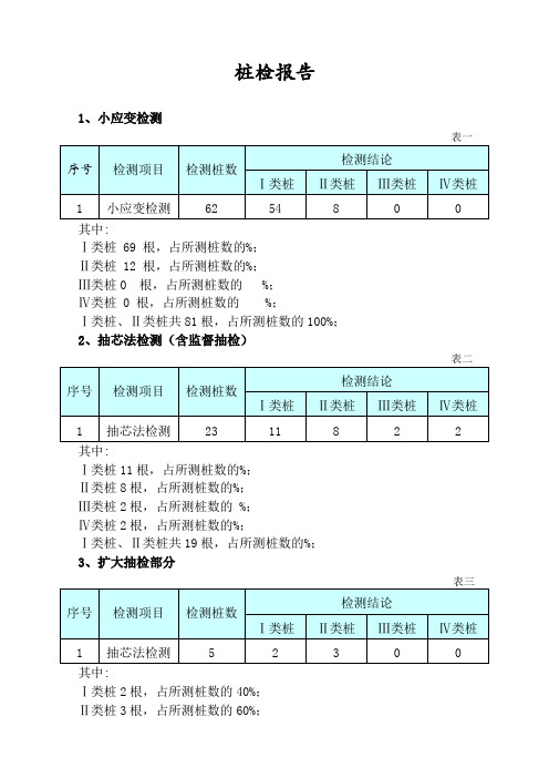 桩基检测报告