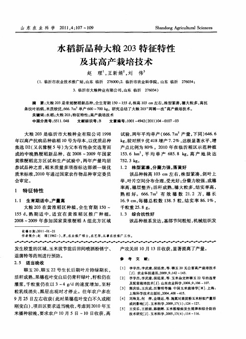 水稻新品种大粮203特征特性及其高产栽培技术