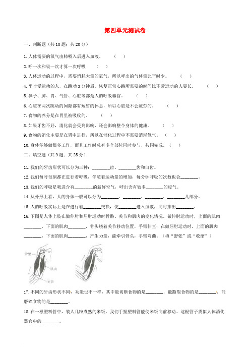 四年级科学上册 第四单元综合测试卷(含解析) 教科版
