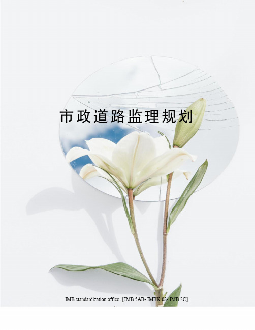 市政道路监理规划