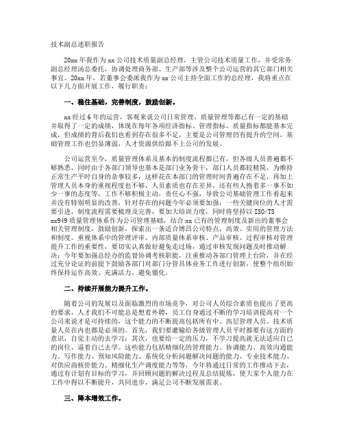 技术副总述职报告