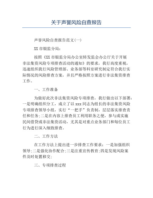 精品范文-关于声誉风险自查报告