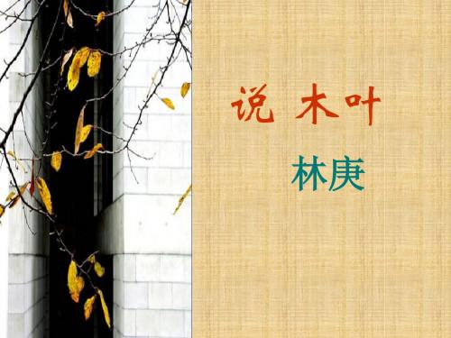说“木叶”