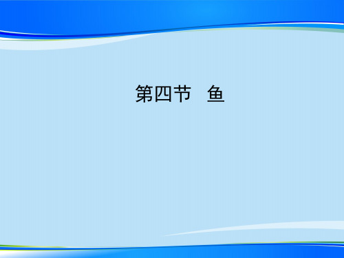 人教版八年级生物上册5.1.4 第四节 鱼 课件