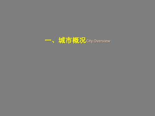 山东淄博某项目定位及市场调研分析