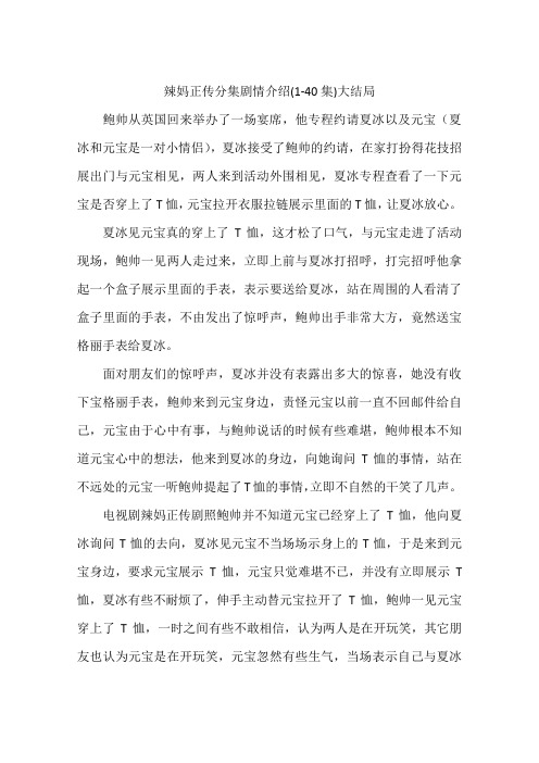 辣妈正传分集剧情介绍(1-40集)大结局