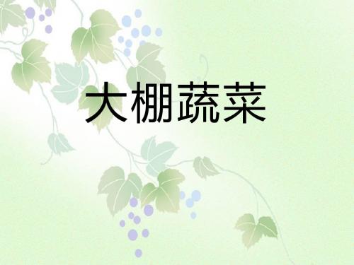 《大棚蔬菜》农田PPT课件2