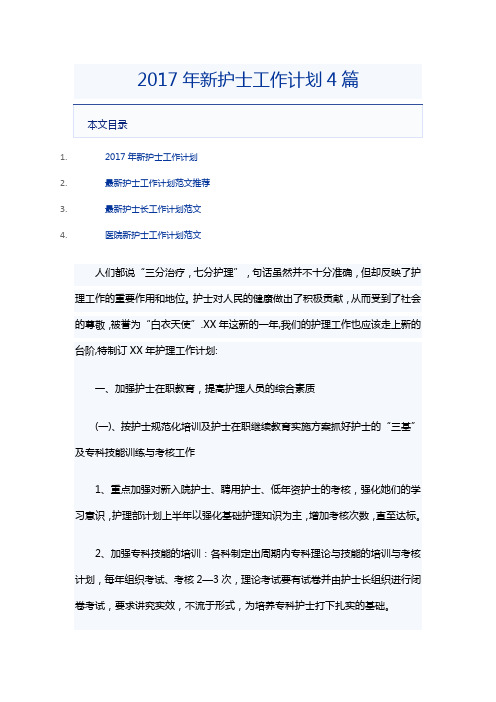 2017年新护士工作计划4篇