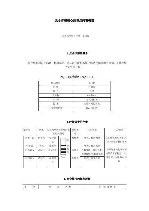 光合作用核心知识点列表梳理