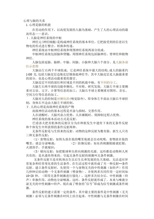 心理与脑的关系