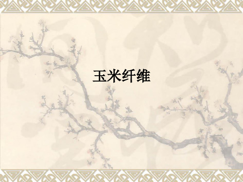 玉米纤维ppt课件