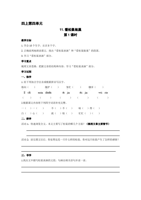 11 看松鼠做巢