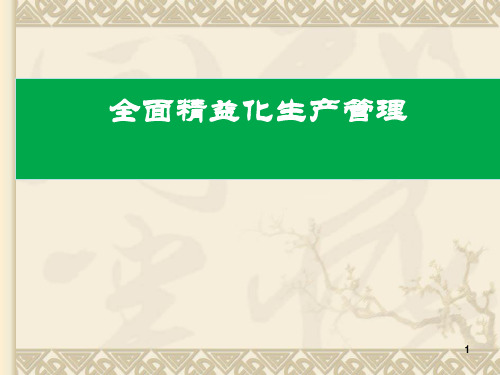 全面精益化生产管理(PPT133页)