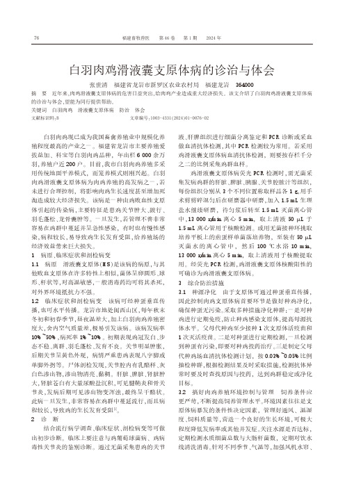 白羽肉鸡滑液囊支原体病的诊治与体会