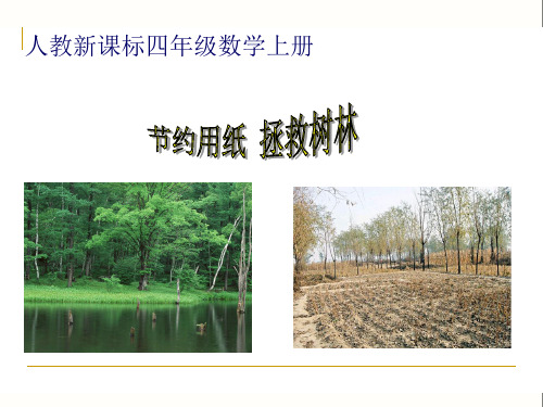 节约用纸,拯救树林PPT数学课件
