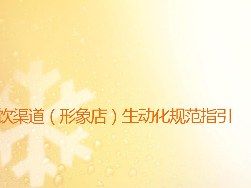 2014华润雪花啤酒湖北区域餐饮渠道生动化指引手册 (压缩)