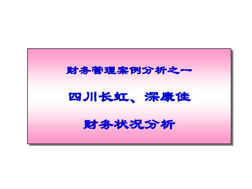 公司财务分析案例