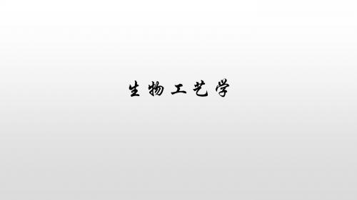 《生物工艺学》动物细胞培养  ppt课件
