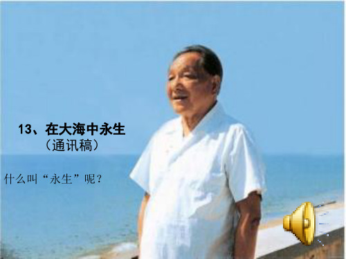13在大海中永生PPT