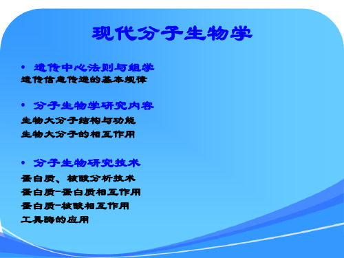分子生物学技术课件