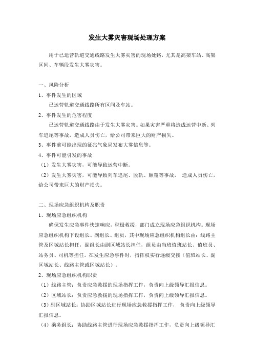 发生大雾灾害现场处理方案