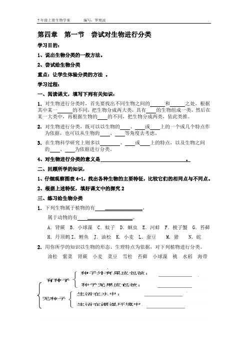第四章学案