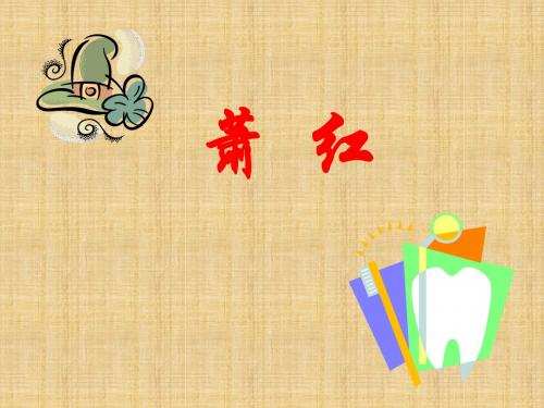 萧  红