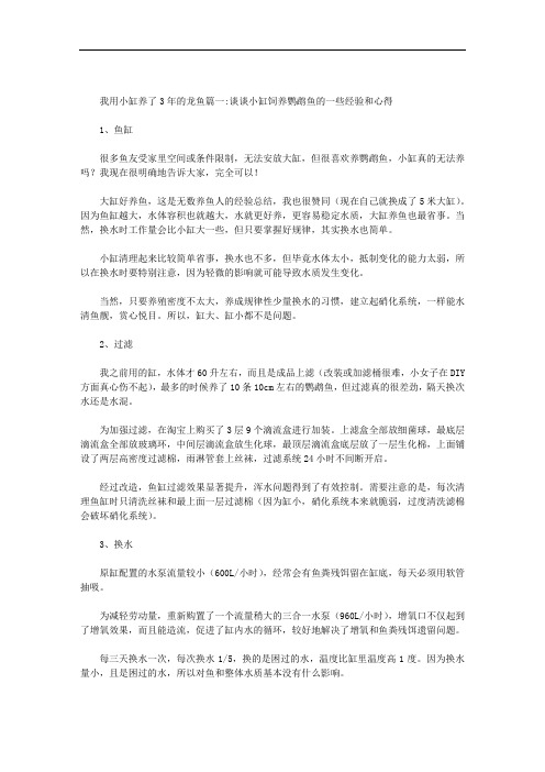 我用小缸养了3年的龙鱼