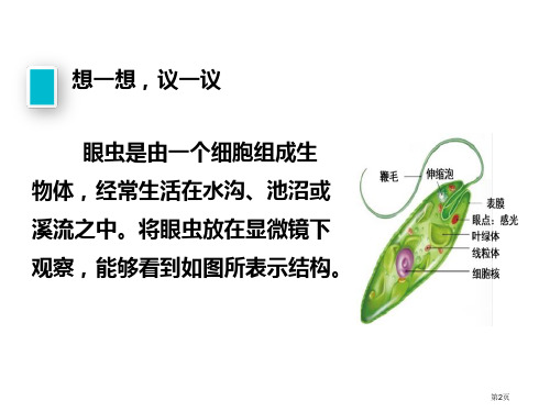 第四节单细胞生物市公开课一等奖省优质课获奖课件