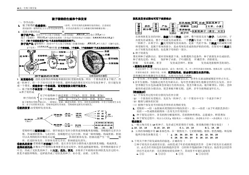 被子植物的个体发育