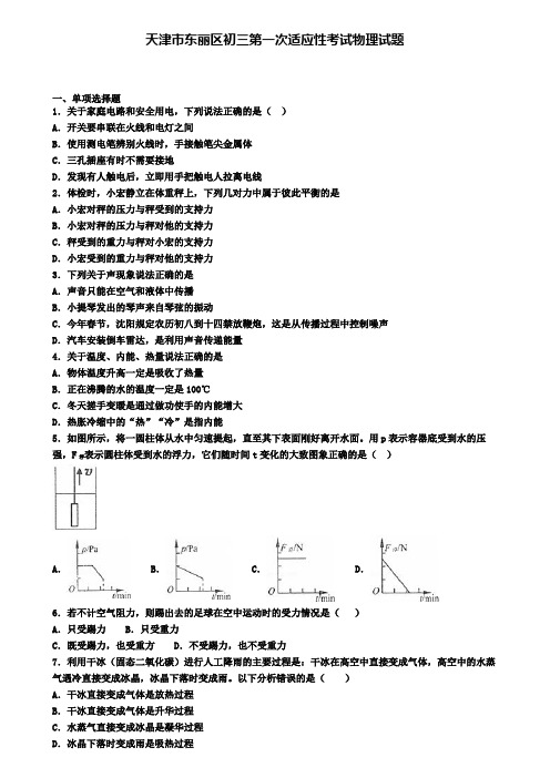 天津市东丽区初三第一次适应性考试物理试题