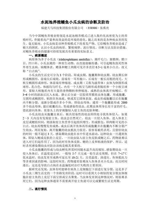 水泥池养殖鳗鱼小瓜虫病的诊断及防治