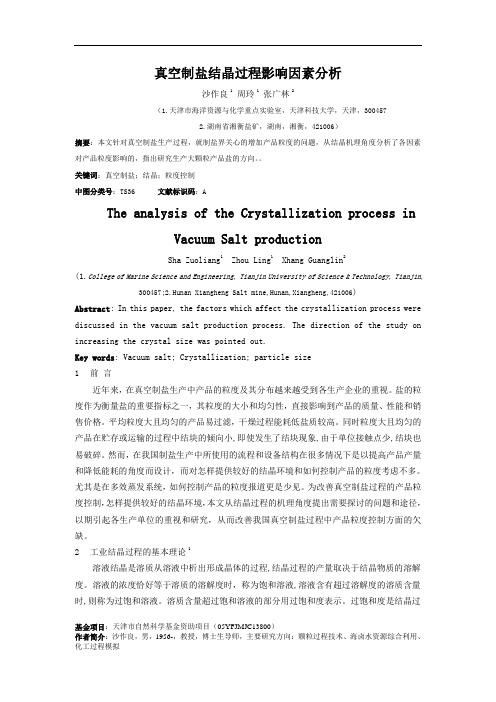真空制盐结晶过程影响因素分析课件资料