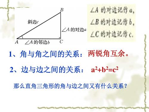 25.2.4_锐角三角函数(2)余切