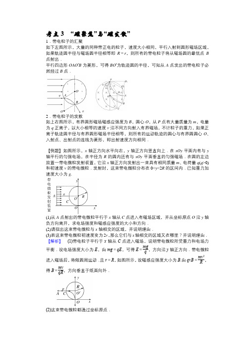 考点3  “磁聚焦”与“磁发散”
