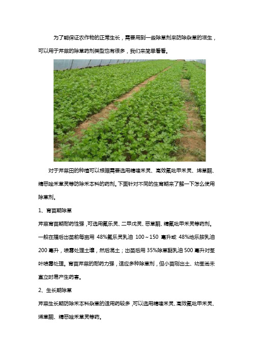 芹菜田专用除草剂
