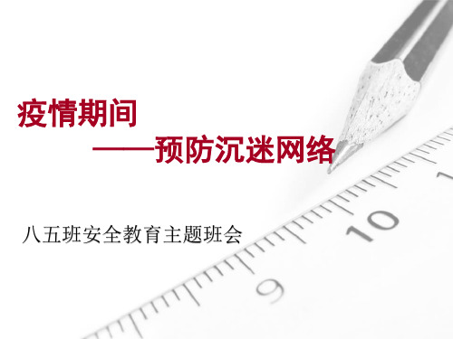 疫情期间,预防沉迷网络班会课件 (14系统PPT)