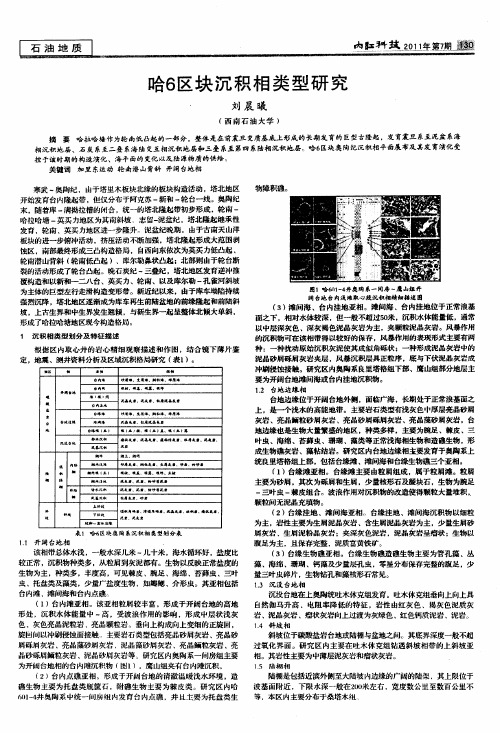 哈6区块沉积相类型研究