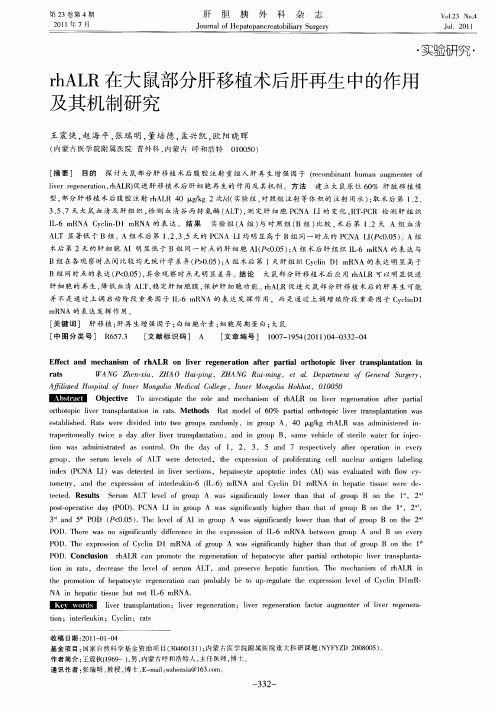 rhALR在大鼠部分肝移植术后肝再生中的作用及其机制研究