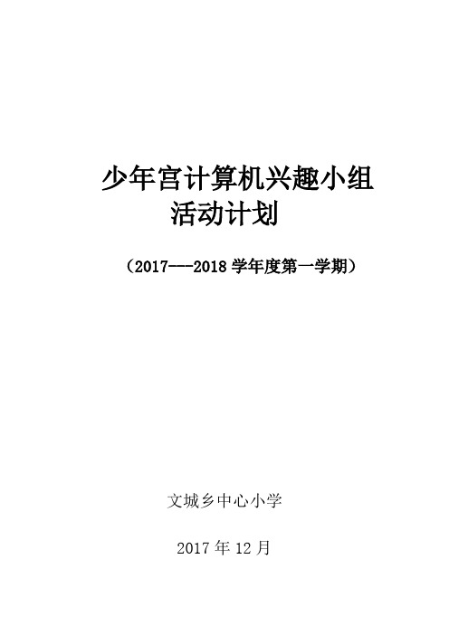 少年宫计算机小组活动计划