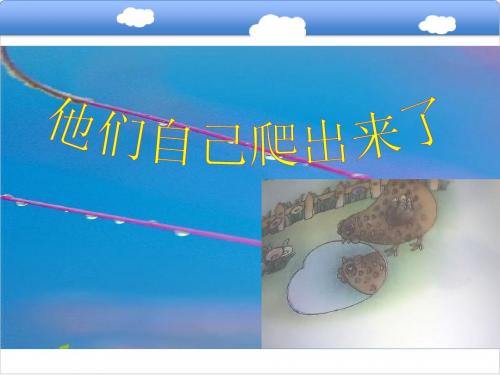 教科版语文一年级下册阅读七《他们自己爬出来了》课件