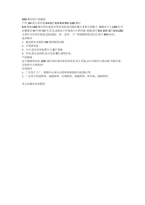LED路灯的产品描述