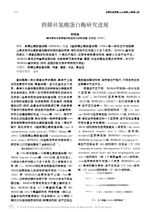 跨膜丝氨酸蛋白酶研究进展