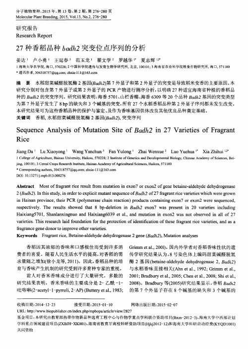 27种香稻品种badh2突变位点序列的分析