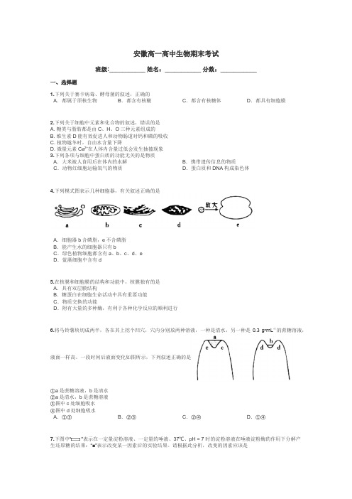 安徽高一高中生物期末考试带答案解析

