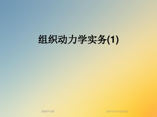 组织动力学实务(1)