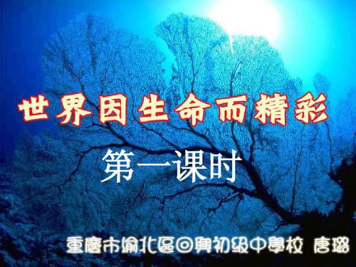 世界因生命而精彩&人的生命的独特性